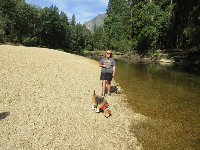 Jonny and Dixie 